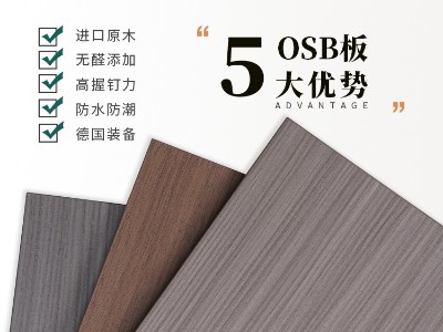 魯麗精板 纖絲錦木-2