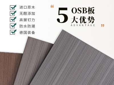 魯麗精板 纖絲錦木-3