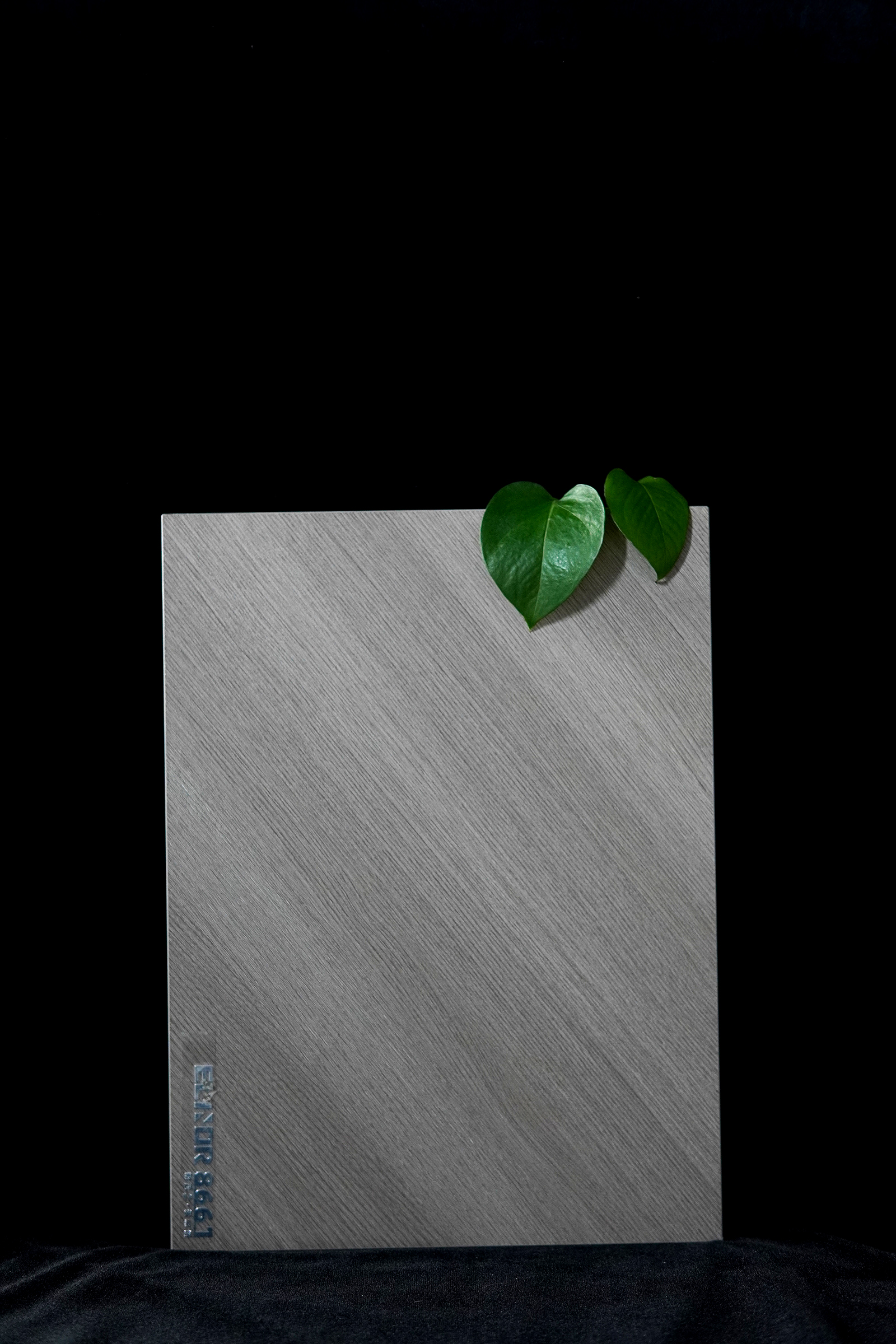 愛麗諾-8661
