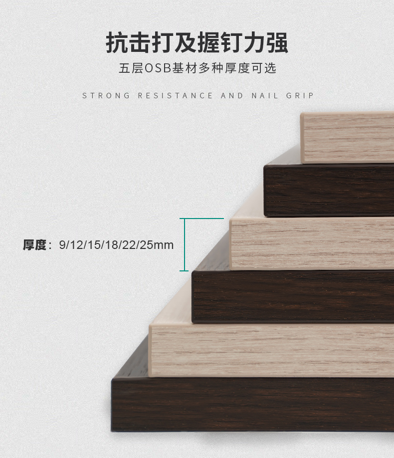 版式06