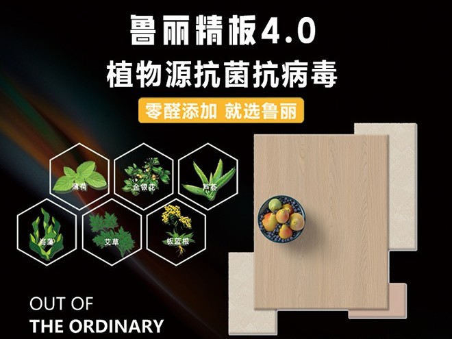 魯麗精板4.0 發(fā)布會現(xiàn)場